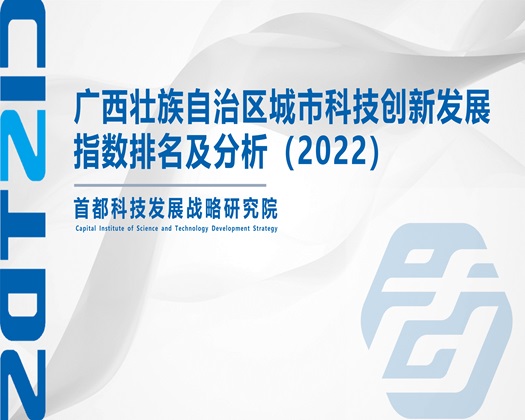 人妖屁股屄啪啪啪在线【成果发布】广西壮族自治区城市科技创新发展指数排名及分析（2022）